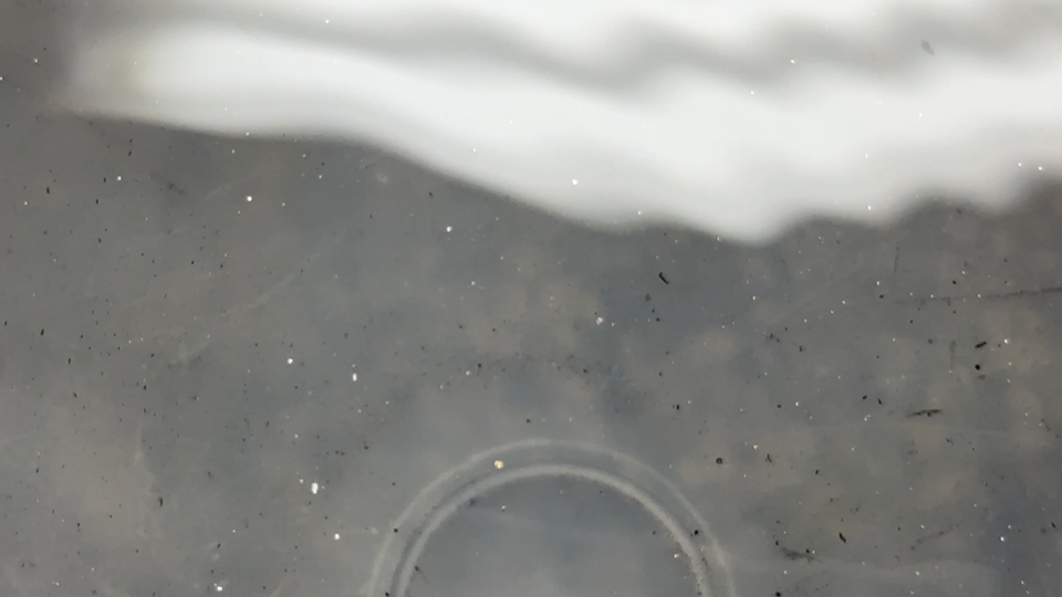 3_condensorflush.png