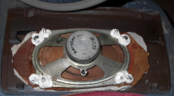 Wildcat front speaker